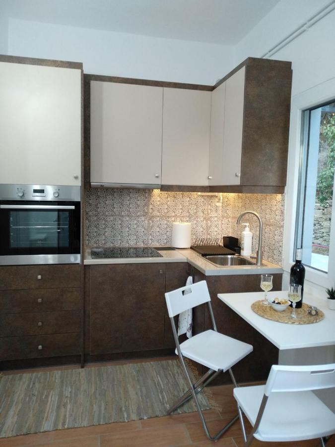 House With Beautiful Garden In Plomari Apartment Bagian luar foto