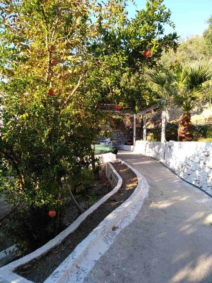 House With Beautiful Garden In Plomari Apartment Bagian luar foto